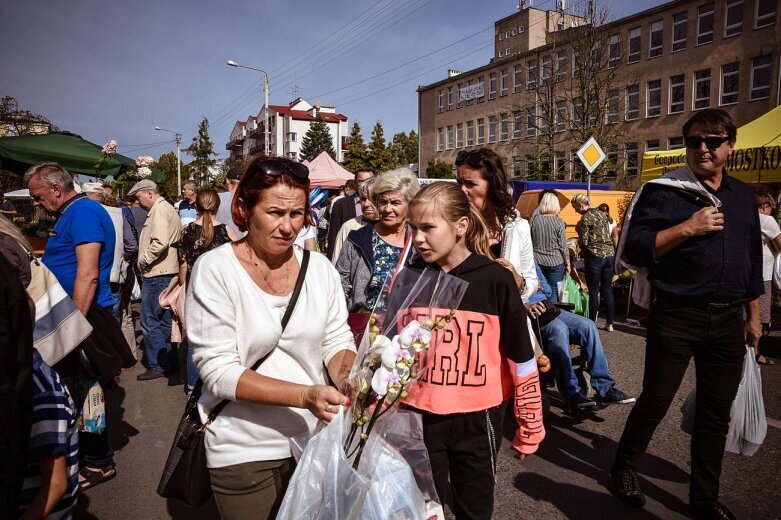  42. SŚKOiW - migawki ze święta 