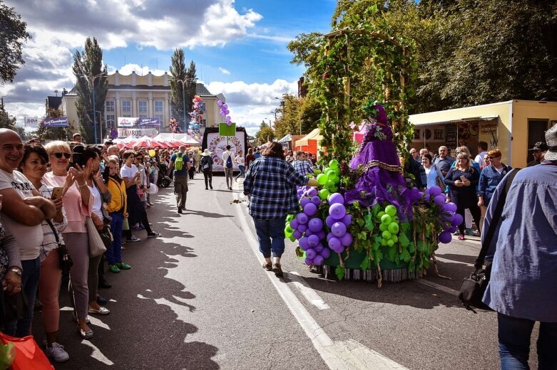  42.SŚKOiW - parada ulicami Skierniewic 