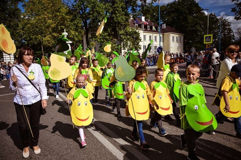  42.SŚKOiW - parada ulicami Skierniewic 