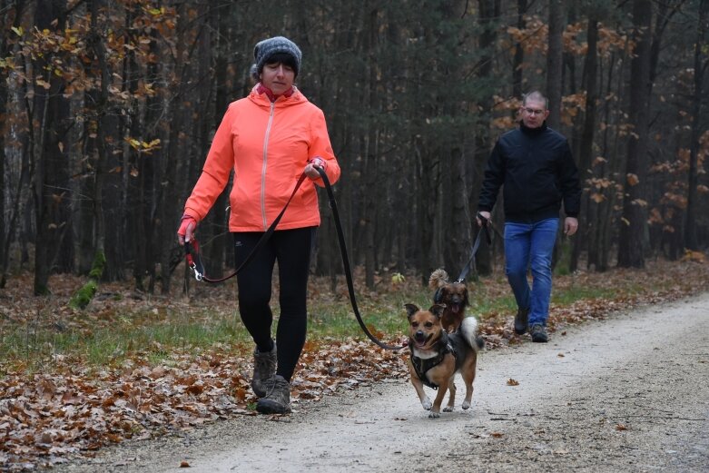  Bieg Niepodległości w Bolimowie 