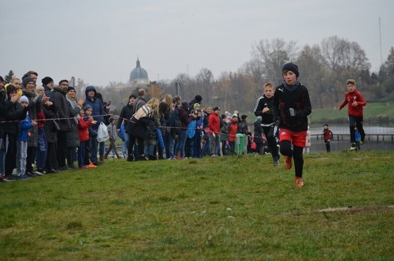  Bieg Niepodległości w Skierniewicach 