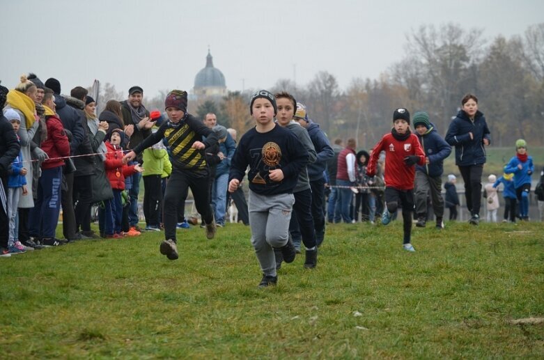  Bieg Niepodległości w Skierniewicach 