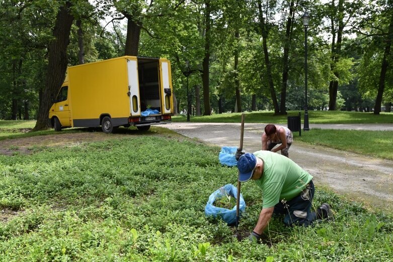  Dziś dzień wypadów do parku 