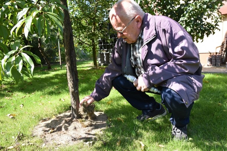  Ekologiczne rozwiązania wpływają na zwiększenie plonów. Mamy na to dowód 