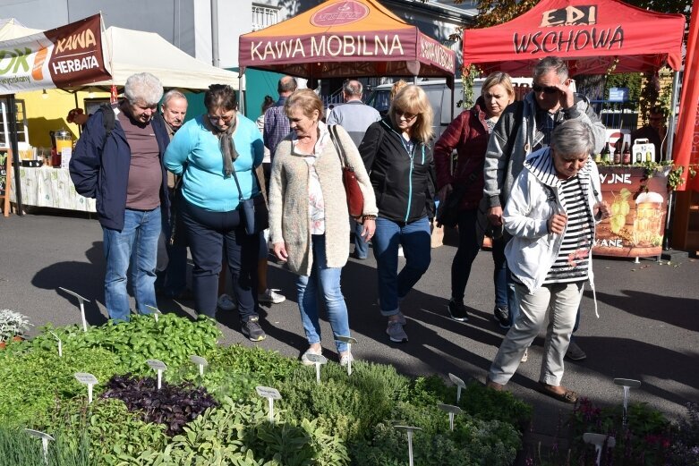  Gwarnie i kolorowo. Ulice tętnią życiem  