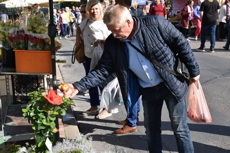  Gwarnie i kolorowo. Ulice tętnią życiem  