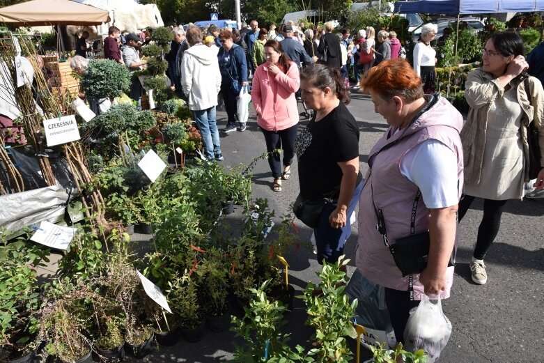  Gwarnie i kolorowo. Ulice tętnią życiem  