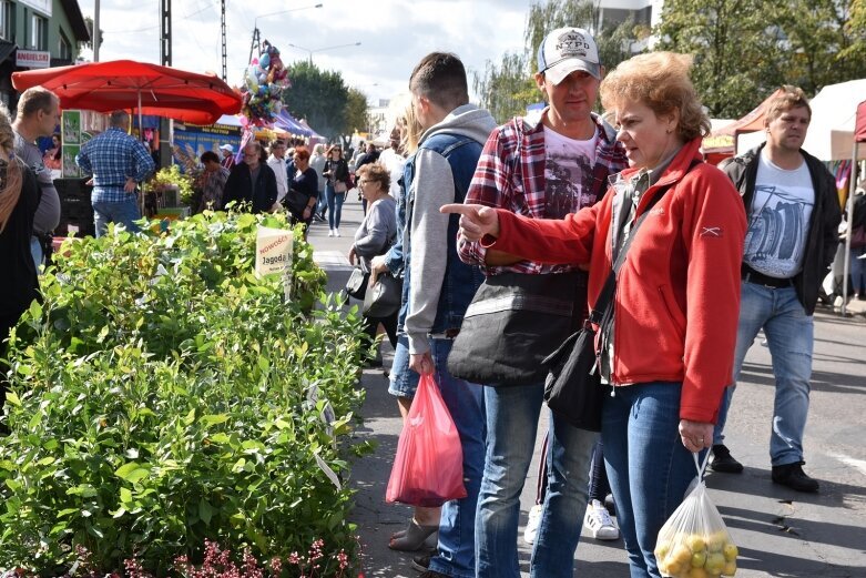  Gwarnie i kolorowo. Ulice tętnią życiem  