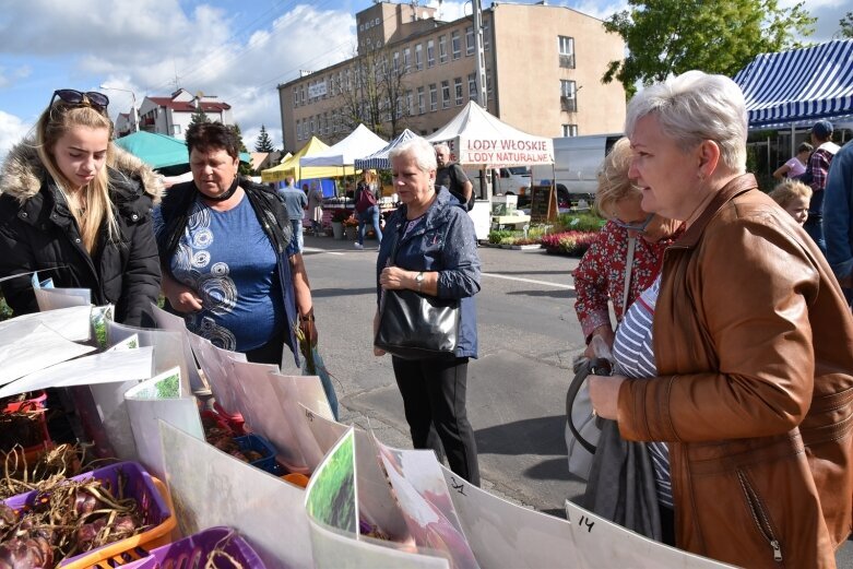  Gwarnie i kolorowo. Ulice tętnią życiem  