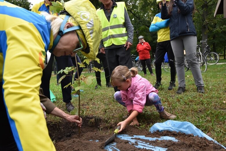  Jubileuszowe drzewko na 70-lecie PTTK już rośnie w parku! 