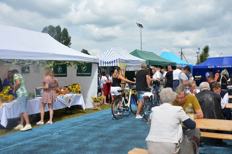  Mnóstwo atrakcji dla każdego. Bolimów świętuje nadanie praw miejskich 