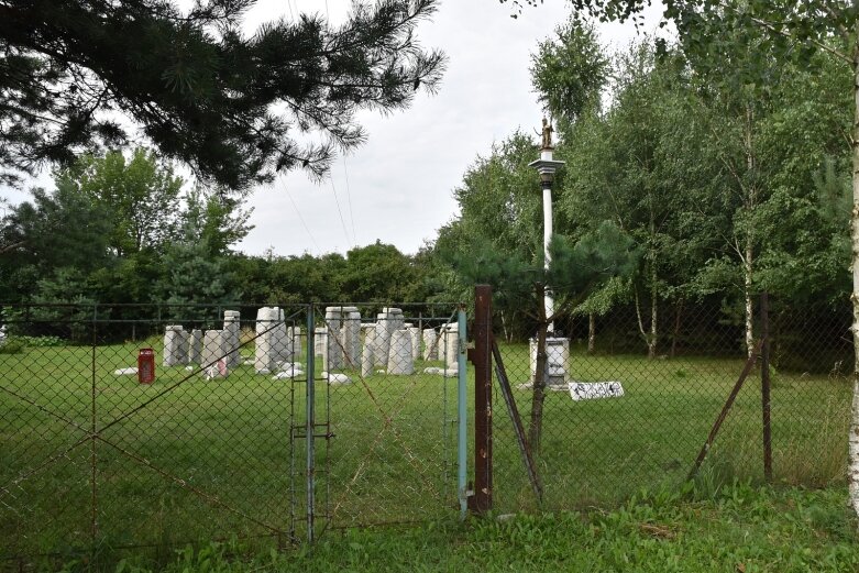  Na podwórku postawił Stonehenge i Kolumnę Zygmunta  