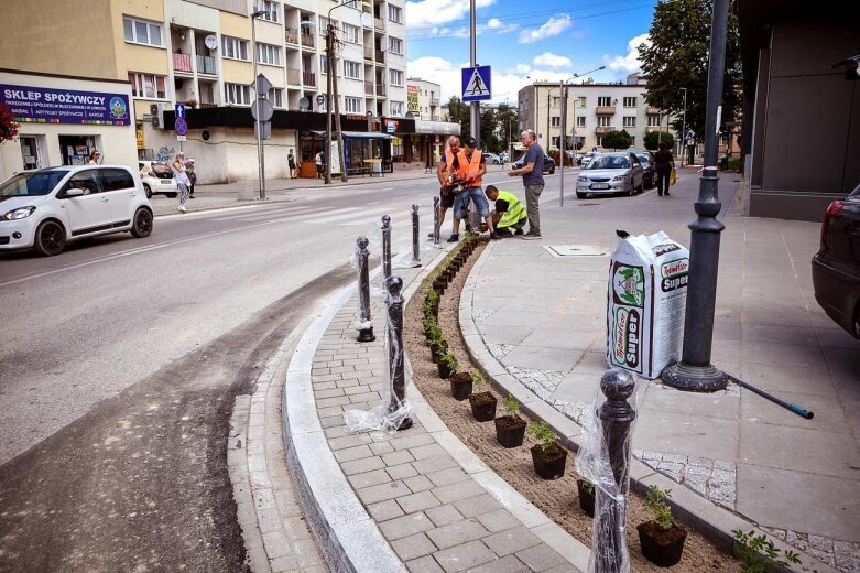  Na ulicy Rawskiej zaczęli sadzić rośliny [ZDJĘCIA] 