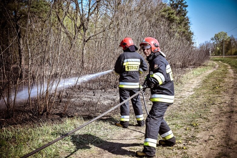  Niedopałek podpalił las 