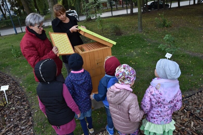  Ogródek małego badacza przy Czwóreczce 