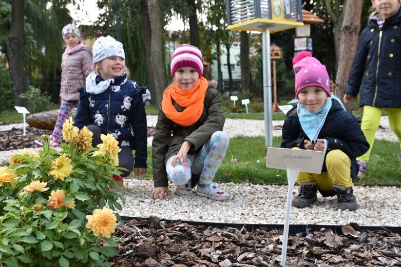  Ogródek małego badacza przy Czwóreczce 