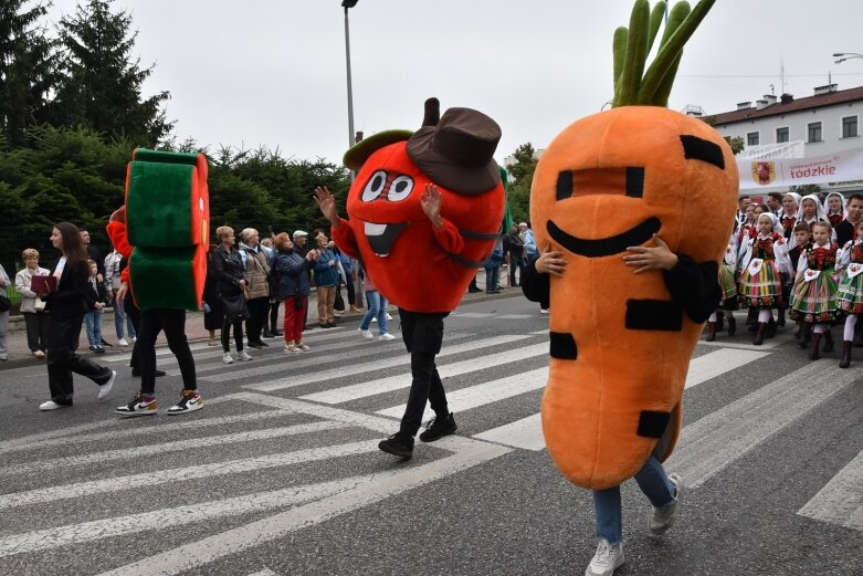  Parada smaków, kolorów i radości na ulicach Skierniewic. Ale widowisko! 