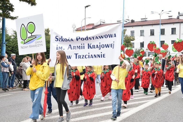  Parada smaków, kolorów i radości na ulicach Skierniewic. Ale widowisko! 