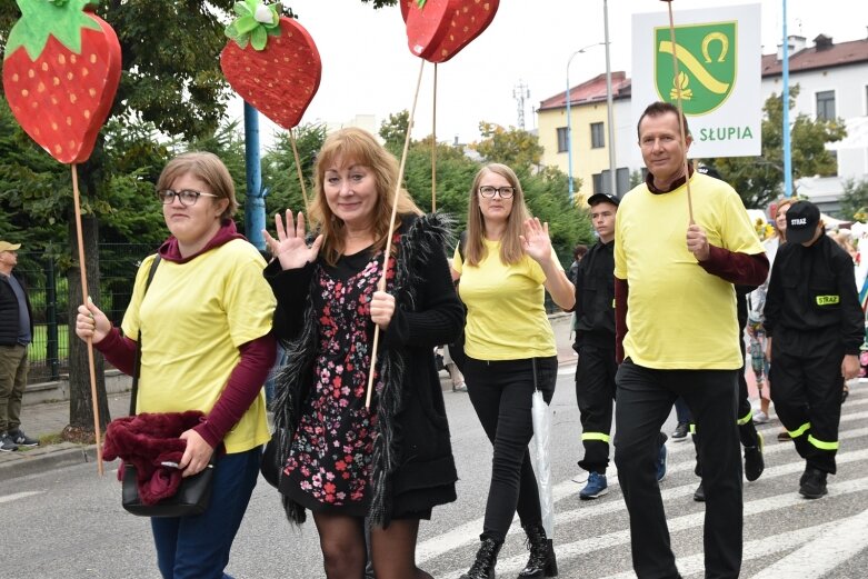  Parada smaków, kolorów i radości na ulicach Skierniewic. Ale widowisko! 