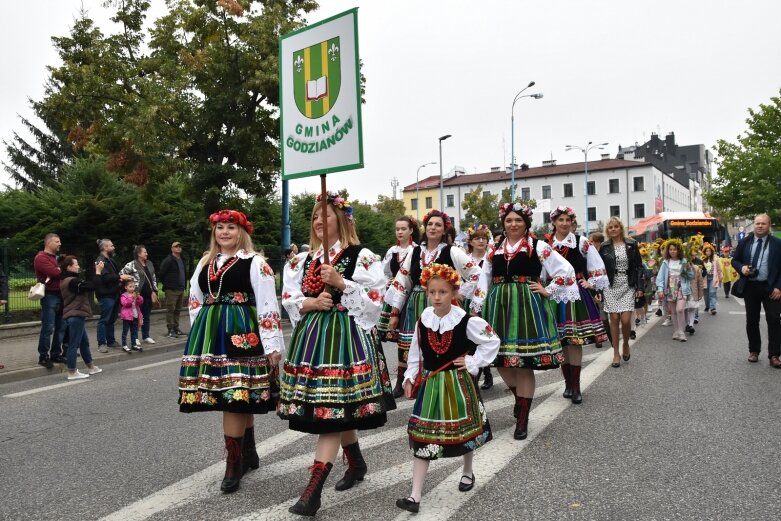  Parada smaków, kolorów i radości na ulicach Skierniewic. Ale widowisko! 