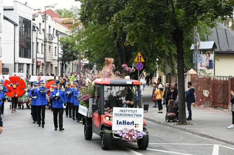  Parada smaków, kolorów i radości na ulicach Skierniewic. Ale widowisko! 