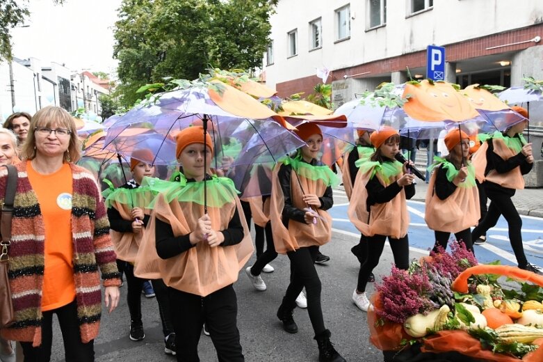  Parada smaków, kolorów i radości na ulicach Skierniewic. Ale widowisko! 