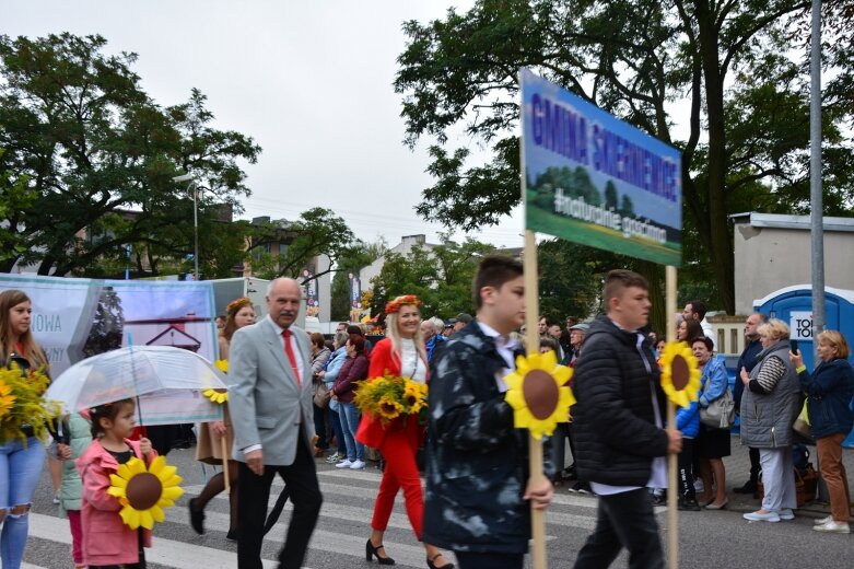  Parada smaków, kolorów i radości na ulicach Skierniewic. Ale widowisko! 