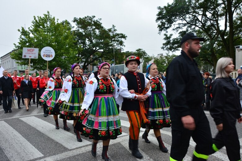  Parada smaków, kolorów i radości na ulicach Skierniewic. Ale widowisko! 