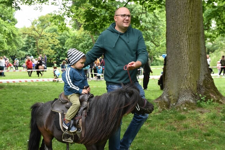  Park miejski w Skierniewicach pełen atrakcji dla najmłodszych 