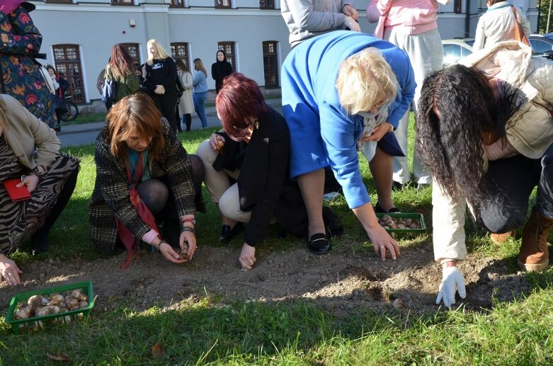  Pola Nadziei na finał obchodów 25-lecia Stowarzyszenia Hospicjum im. Anny Olszewskiej w Skierniewicach 