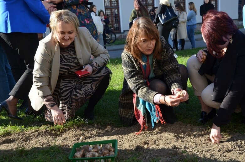  Pola Nadziei na finał obchodów 25-lecia Stowarzyszenia Hospicjum im. Anny Olszewskiej w Skierniewicach 