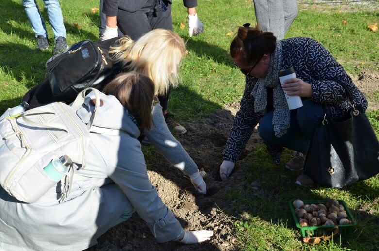  Pola Nadziei na finał obchodów 25-lecia Stowarzyszenia Hospicjum im. Anny Olszewskiej w Skierniewicach 