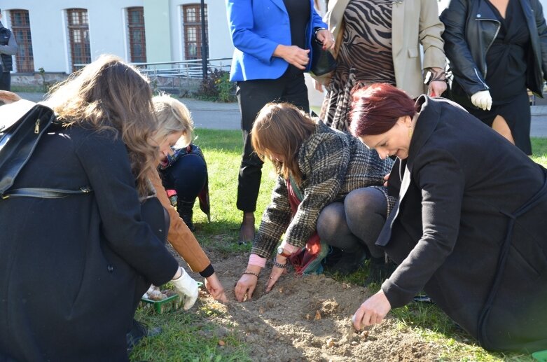  Pola Nadziei na finał obchodów 25-lecia Stowarzyszenia Hospicjum im. Anny Olszewskiej w Skierniewicach 