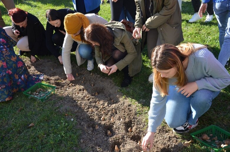  Pola Nadziei na finał obchodów 25-lecia Stowarzyszenia Hospicjum im. Anny Olszewskiej w Skierniewicach 