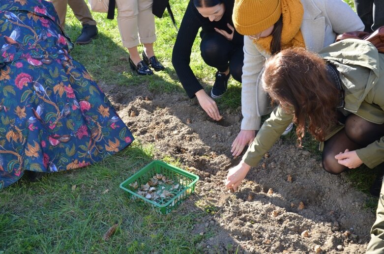  Pola Nadziei na finał obchodów 25-lecia Stowarzyszenia Hospicjum im. Anny Olszewskiej w Skierniewicach 