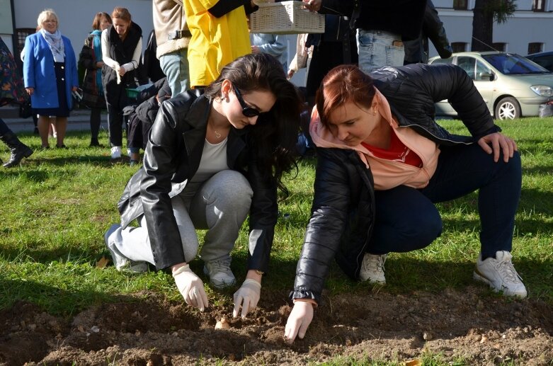  Pola Nadziei na finał obchodów 25-lecia Stowarzyszenia Hospicjum im. Anny Olszewskiej w Skierniewicach 