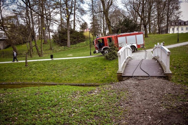  Pożar drzewa w skierniewickim parku 