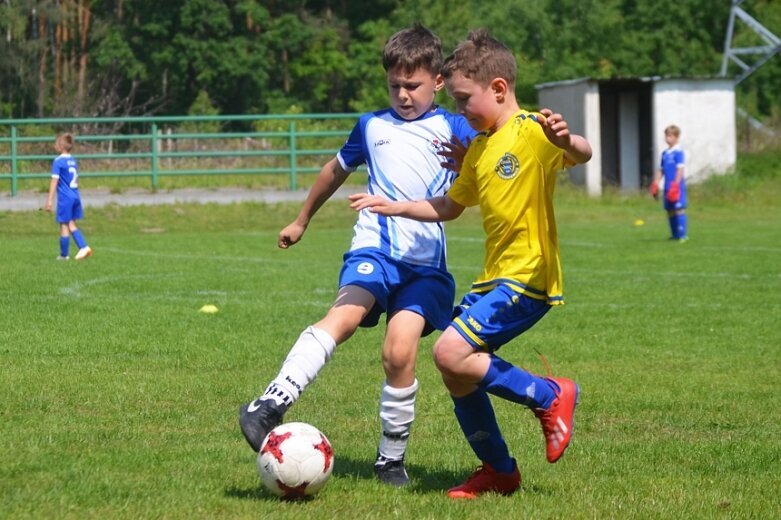  Ruszył cykl turniejów Widok Cup 2019 