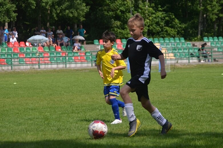  Ruszył cykl turniejów Widok Cup 2019 