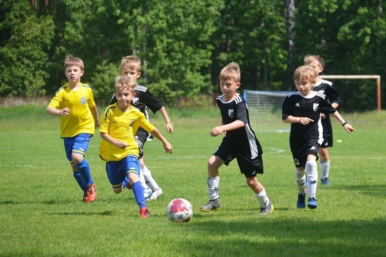  Ruszył cykl turniejów Widok Cup 2019 