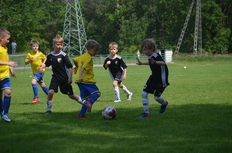  Ruszył cykl turniejów Widok Cup 2019 