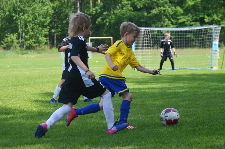  Ruszył cykl turniejów Widok Cup 2019 