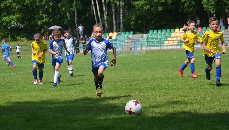  Ruszył cykl turniejów Widok Cup 2019 