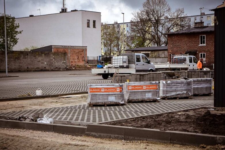  Są już drzewa przy nowym parkingu na Jagiellońskiej 