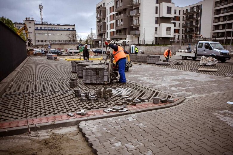  Są już drzewa przy nowym parkingu na Jagiellońskiej 