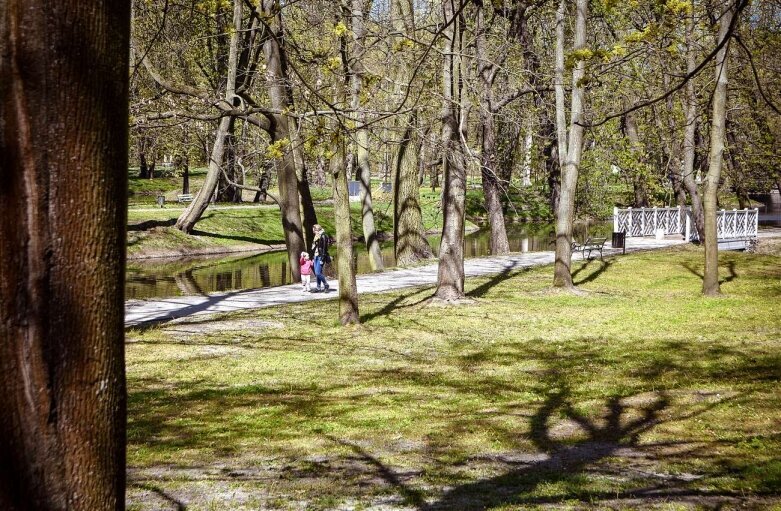  Skierniewiczanie ruszyli na spacer do parku 