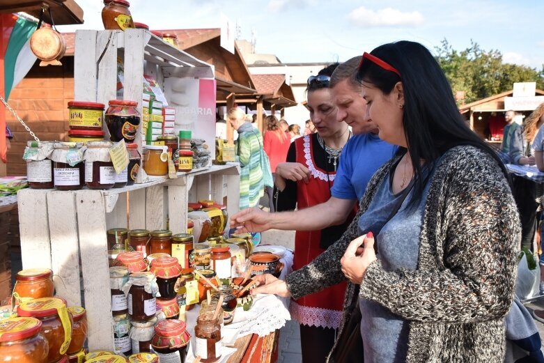  SŚKOiW – Festiwal Roślinożercy 