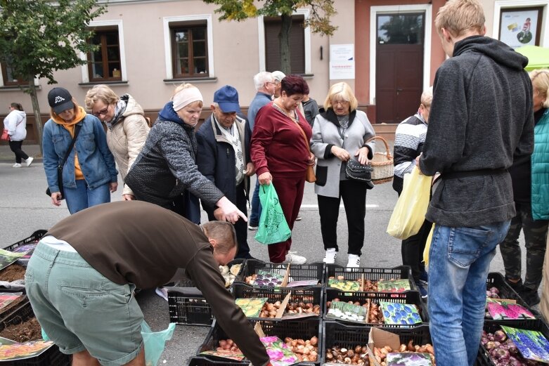  Świąteczny gwar na ulicach Skierniewic 