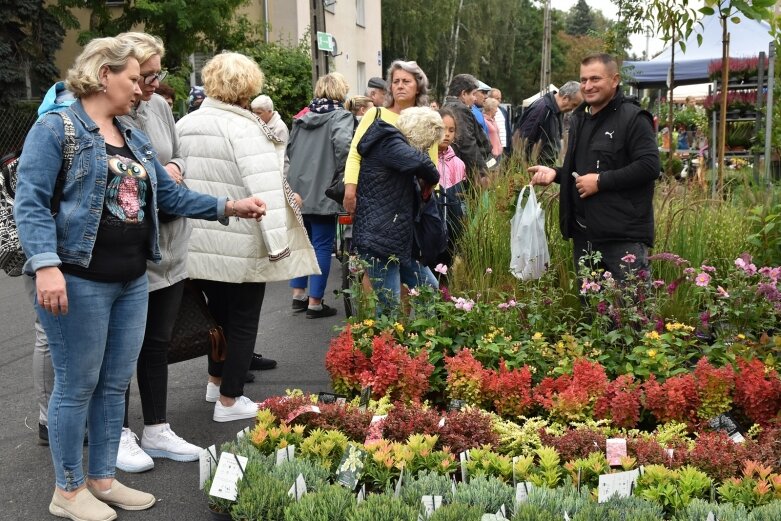  Świąteczny gwar na ulicach Skierniewic 