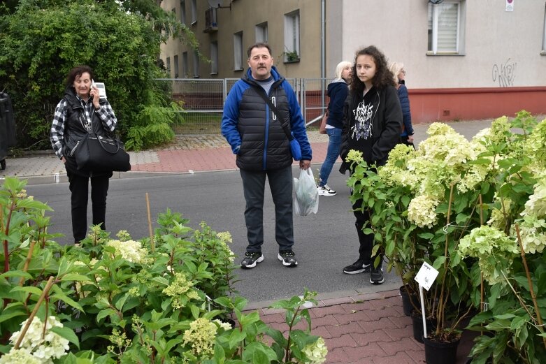  Świąteczny gwar na ulicach Skierniewic 